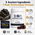 Recovery Support Shilajit Gummies