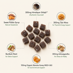 Kidney Support Shilajit Gummies