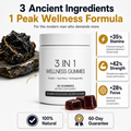 Shilajit T1 (Testo Charge)
