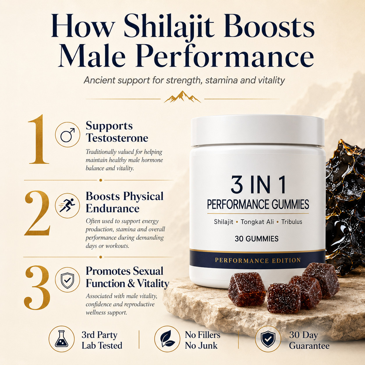 Recovery Support Shilajit Gummies