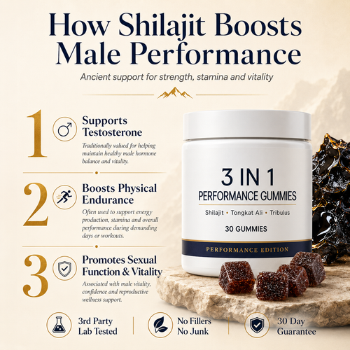 Recovery Support Shilajit Gummies