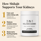Kidney Support Shilajit Gummies