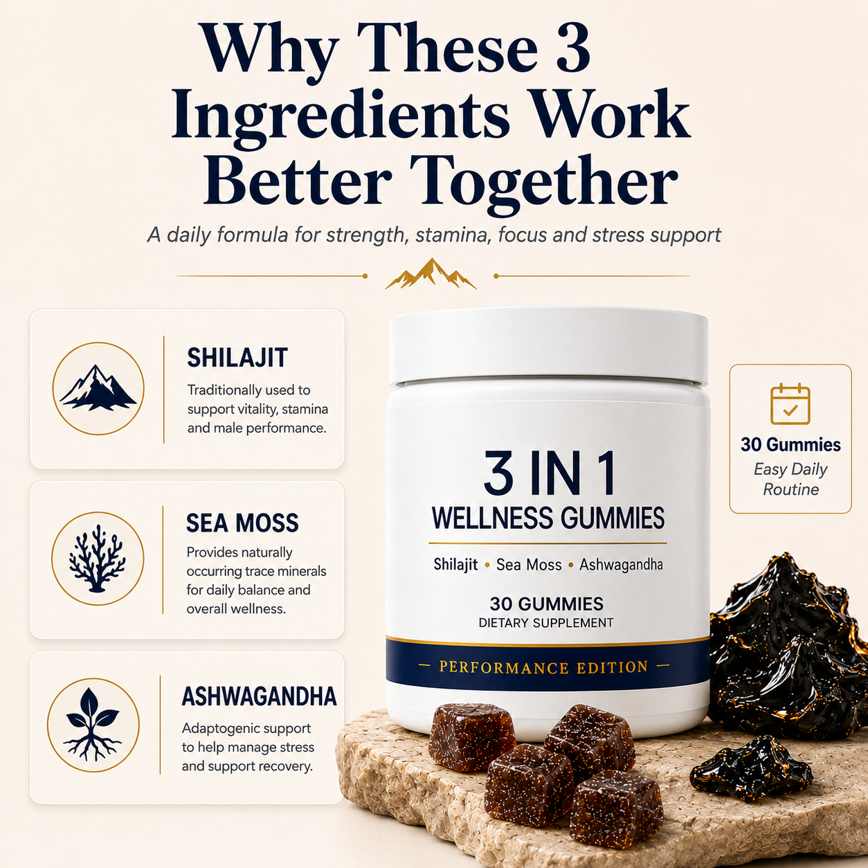 Shilajit T1 (Testo Charge)