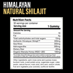 Kidney Support Shilajit Gummies